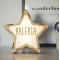 Vintiun Personalised Light up Star Large (USB-C)