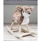 Little Bird.. Rocking Animal 9m+ Willow Deer Little Bird.. Rocking Animal 9m+ Willow Deer