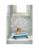 Interbaby Foldable Bath and Rinse Cup Blue