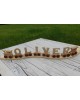Wooden Train Names - natural or coloured
