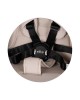 Chipolino Travel System Elite Next Gen Latte